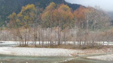 Nagano, Japonya, Kuzey Japonya Alpleri'nde Kamikochi Milli Parkı. Güzel dağ nehir ile sonbahar yaprak