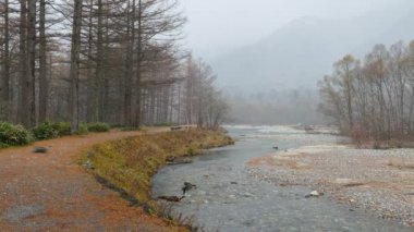 Nagano, Japonya, Kuzey Japonya Alpleri'nde Kamikochi Milli Parkı. Güzel dağ nehir ile sonbahar yaprak