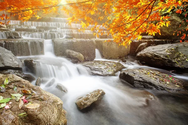 Imageing Fina Vatten Med Maple Komponera Vacker Utsikt — Stockfoto