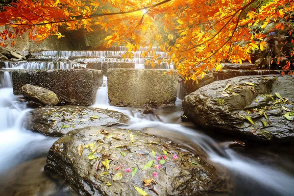 Imageing Fina Vatten Med Maple Komponera Vacker Utsikt — Stockfoto