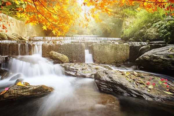Imageing Ωραίο Νερό Maple Συνθέτουν Μια Όμορφη Θέα — Φωτογραφία Αρχείου