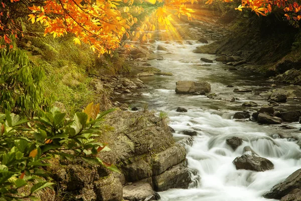 Imageing Fina Vatten Med Maple Komponera Vacker Utsikt — Stockfoto