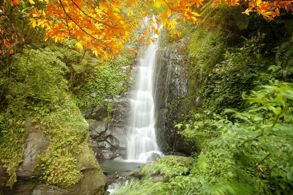 Pencitraan Air Yang Bagus Dengan Maple Menyusun Pemandangan Yang Indah — Stok Foto