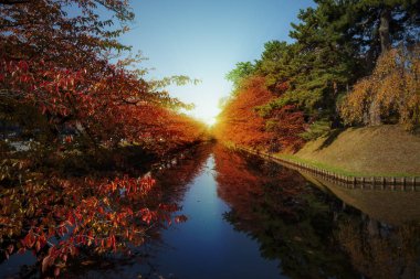 Oirase Gorge güzel nehir druing Sonbahar sezonu, Japonya