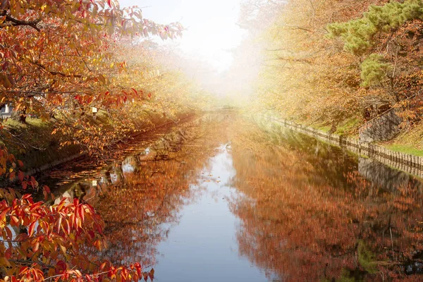 Oirase Gorge Beautiful River Druing Autumn Season Japan — Stock Photo, Image