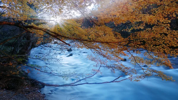 Oirase Gorge Hermoso Río Druing Temporada Otoño Japón —  Fotos de Stock