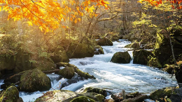 Oirase Gorge Hermoso Río Druing Temporada Otoño Japón —  Fotos de Stock