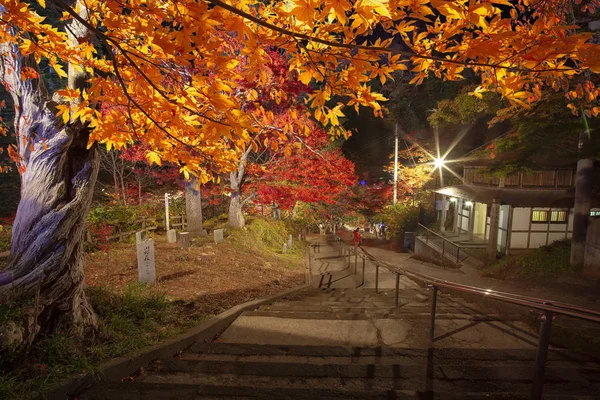 Die Oirase Schlucht Schöner Fluss Druing Die Herbstsaison Japan — Stockfoto
