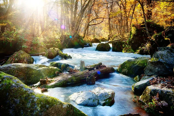 Oirase Gorge Beautiful River Druing Autumn Season Japan — Stock Photo, Image