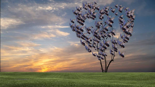 Butterfly Heart Shaped Tree Sunset Nice Sky Sunset — Stock Photo, Image