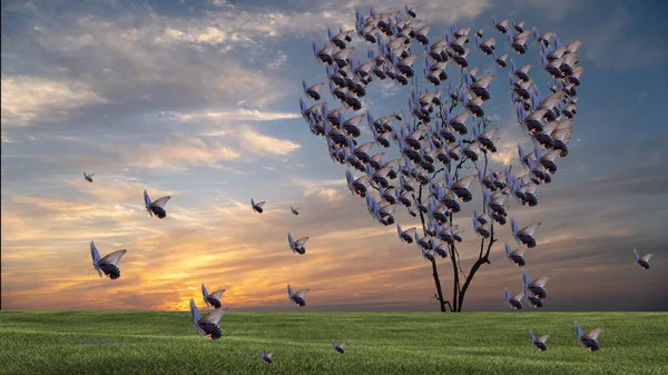 Butterfly Heart Shaped Tree Sunset Nice Sky Sunset — Stock Photo, Image