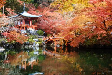 Daigo-ji, Japonya - 25 Kasım 2013: Daigo-ji Tokyo-cho, Fushimi-ku, Kyoto, Japonya 'daki Shinji Atalarının kutsal tapınağıdır. Dağ