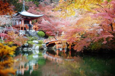 Daigo-ji, Japonya - 25 Kasım 2013: Daigo-ji Tokyo-cho, Fushimi-ku, Kyoto, Japonya 'daki Shinji Atalarının kutsal tapınağıdır. Dağ