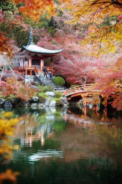 Daigo-ji, Japonya - 25 Kasım 2013: Daigo-ji Tokyo-cho, Fushimi-ku, Kyoto, Japonya 'daki Shinji Atalarının kutsal tapınağıdır. Dağ