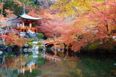 Daigo-ji, Japonya - 25 Kasım 2013: Daigo-ji Tokyo-cho, Fushimi-ku, Kyoto, Japonya 'daki Shinji Atalarının kutsal tapınağıdır. Dağ