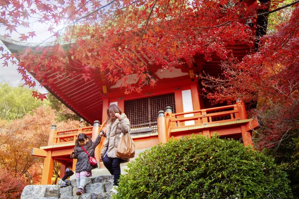 Daigo Японія Nov 2013 Daigo Священний Храм Шінджі Ансестраль Токю — стокове фото