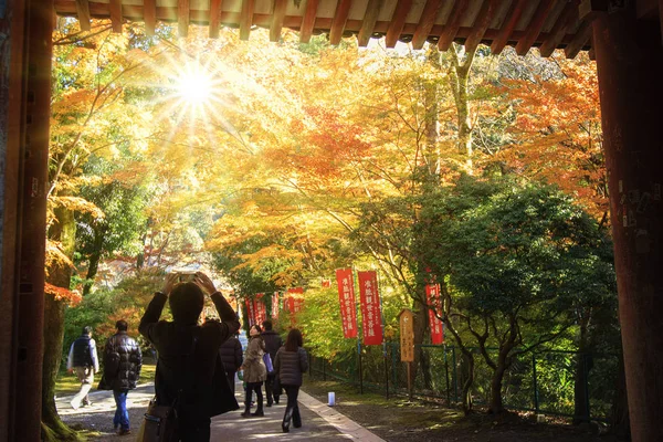 Daigo Japan Nov 2013 Daigo Ist Ein Heiliger Tempel Des — Stockfoto