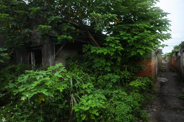 Yeni Taipei City Tayvan Kuzeyinde Eski Kırık Evde — Stok fotoğraf