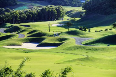 Güzel yeşil çim golf sahası. Golf club