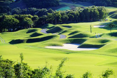 Güzel yeşil çim golf sahası. Golf club