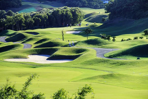 Fina Gröna Gräs Golf Course Golf Club — Stockfoto