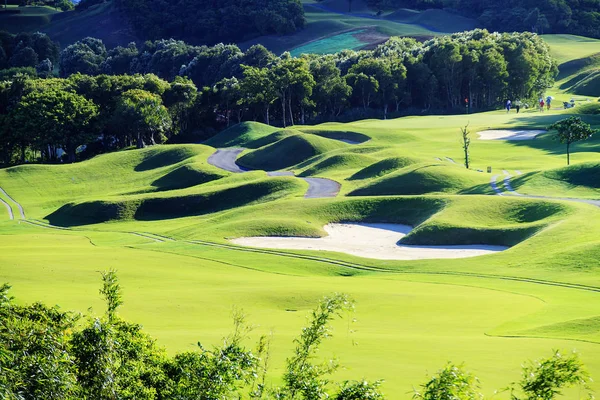 素敵な緑の草ゴルフ コース ゴルフ クラブ — ストック写真