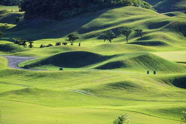 Der Schöne Grüne Rasengolfplatz Golfclub — Stockfoto