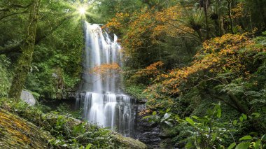 Sonbahar Yunshen Şelalesi New Taipei Şehri Sanxia Bölgesi, New Taipei Şehri, Tayvan