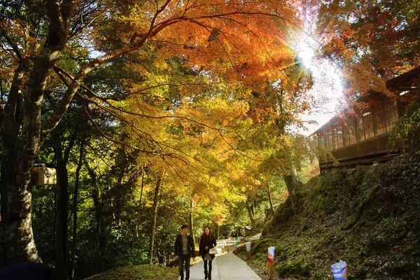 Kyoto Japan Nov 2013 Jingo Japan Ett Närmaste Naturliga Rekreationsområden — Stockfoto