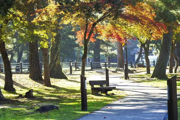 秋の風景で秋の park.bench の白いベンチ — ストック写真