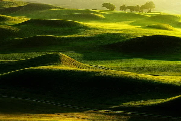 Sabah erken görünümü güzel yeşil golf yer, Tayvan — Stok fotoğraf