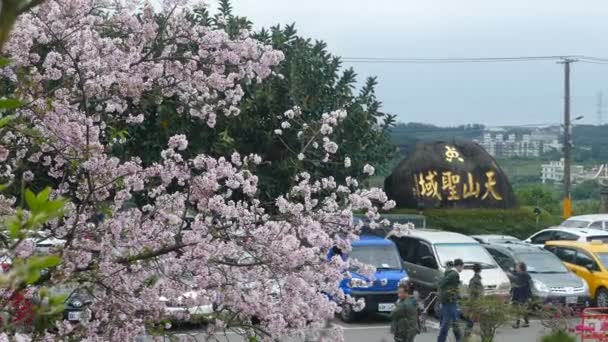 台北市 2019 年4月12日 ビューポイントさくら桜天元寺 天元寺は 美しい景色と台湾の桜の美しい場所で有名です — ストック動画