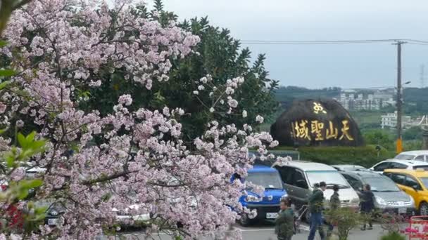 Taipei City Taiwan Abr 2019 Ver Ponto Sakura Cereja Florescer — Vídeo de Stock