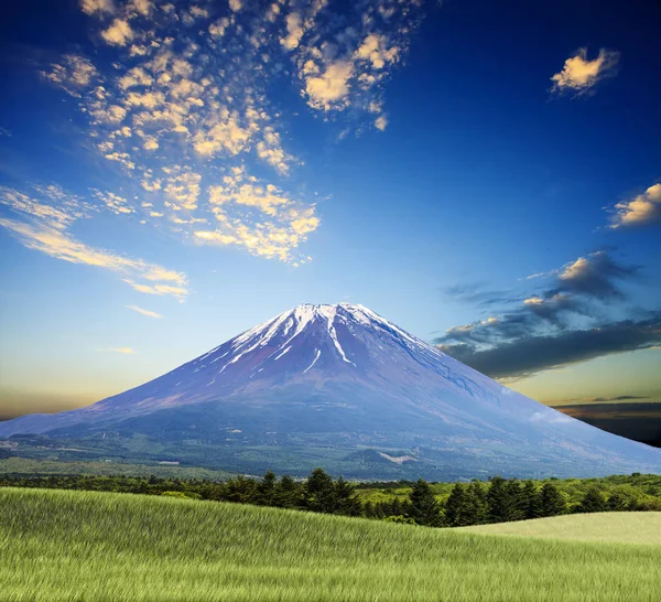 Summer landscape with green grass, mountain and clouds — Stock Photo, Image