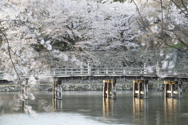 Flor rosa y muchos colores árboles de sakura, Japón —  Fotos de Stock