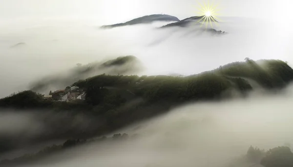 Закат в горных лесах, Тайвань — стоковое фото