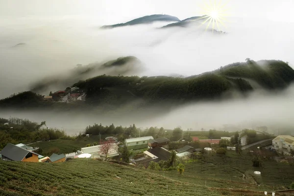 Západ slunce na horské lesní krajině, Tchaj-wan — Stock fotografie