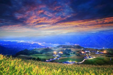 Altmış ünlü ve güzel Daylily çiçek havadan görünümü 