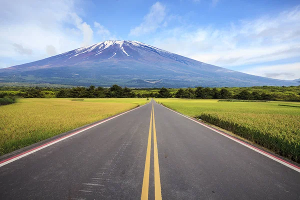 Orman bir arka plan karşı yeşil pirinç tarlalarında toprak yol, m — Stok fotoğraf