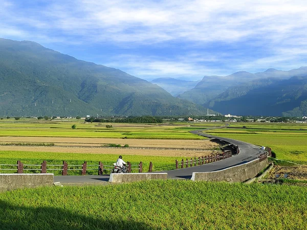 Letecký Pohled Krásná Rýžová Pole Taitungu Taiwan — Stock fotografie