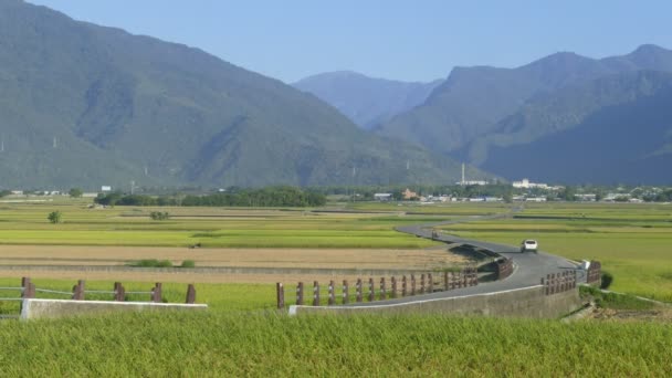 Widok Lotu Ptaka Piękne Pola Ryżowe Taitung Tajwan — Wideo stockowe