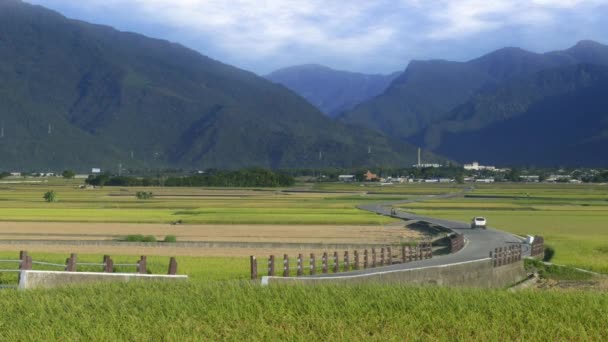 Flygfoto Över Vackra Risfält Taitung Taiwan — Stockvideo