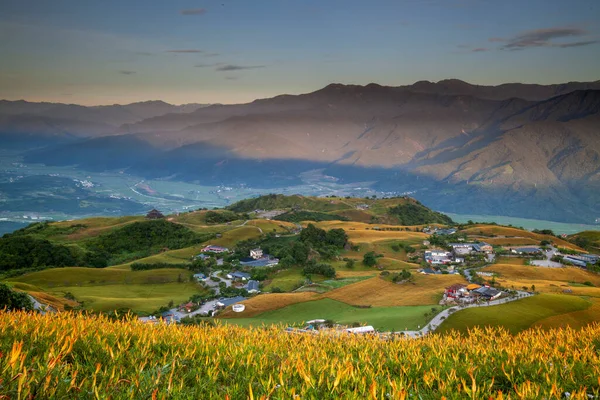 Légi Kilátás Híres Gyönyörű Daylily Virág Hatvan Stone Mountain Hualien — Stock Fotó