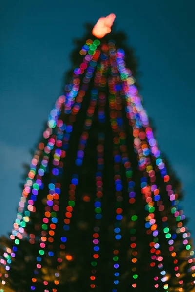 Árvore de Natal e luzes — Fotografia de Stock