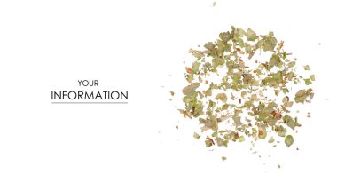 Çim mercanköşk baharat desen