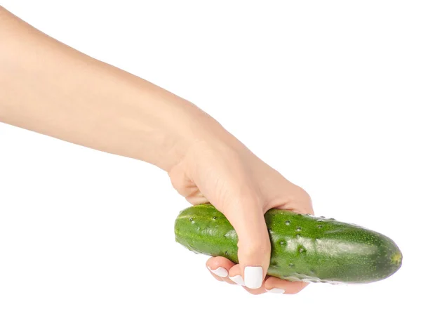 Komkommer in een hand — Stockfoto
