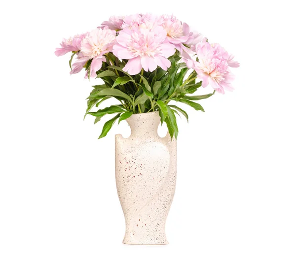 Pfingstrosen in einer Vase — Stockfoto