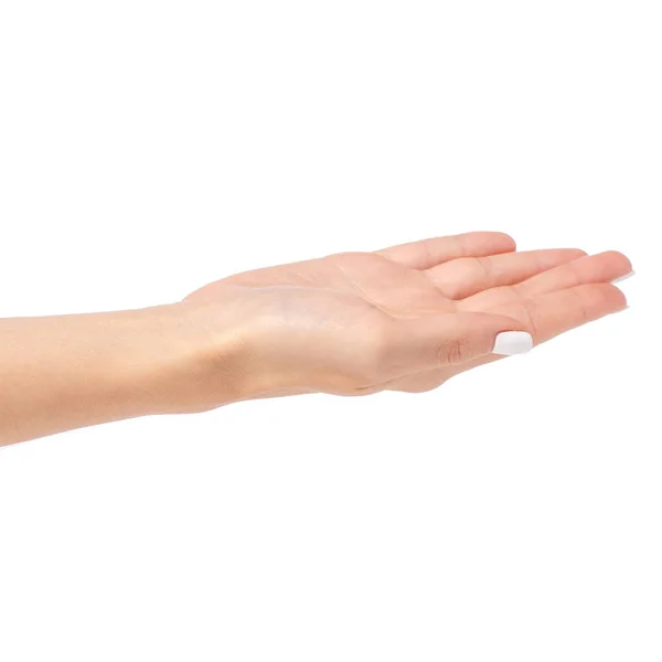 Empty open woman hand — Stock Photo, Image