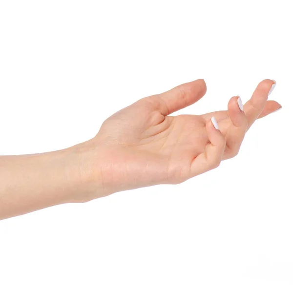 Пустой открытой женской рукой — стоковое фото