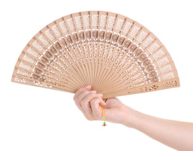 Bambu el hava fan